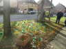 Bild 010