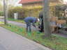 Bild 016