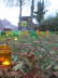 Bild 028