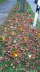 IMG-20151107-WA0003