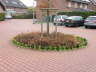Laacher Lichter 005