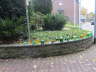 Laacher Lichter 024