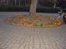 Laacher Lichter_2011 (11)