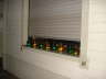 Laacher Lichter_2011 (55)