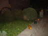 Laacher Lichter_2011 (67)