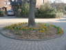 Laacher Lichter_2011 (7)
