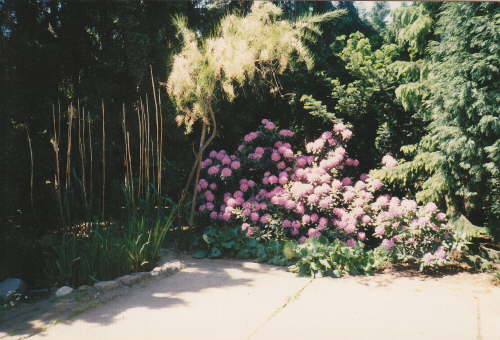 Laux_001